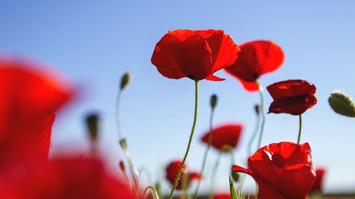 El tiempo - Termómetros con valores por encima de lo habitual en zonas del norte y centro