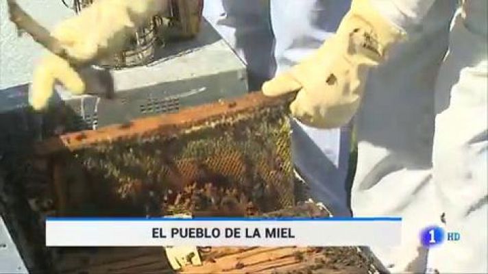 Telediario 1 - Fuenlabrada de los Montes, el pueblo de las abejas
