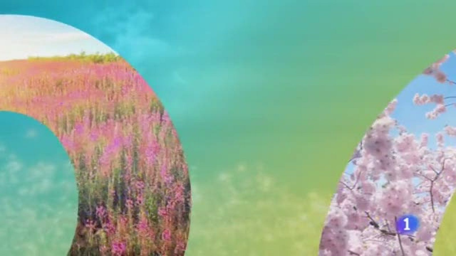 El Tiempo en Castilla-La Mancha - 25/03/19 | Ver