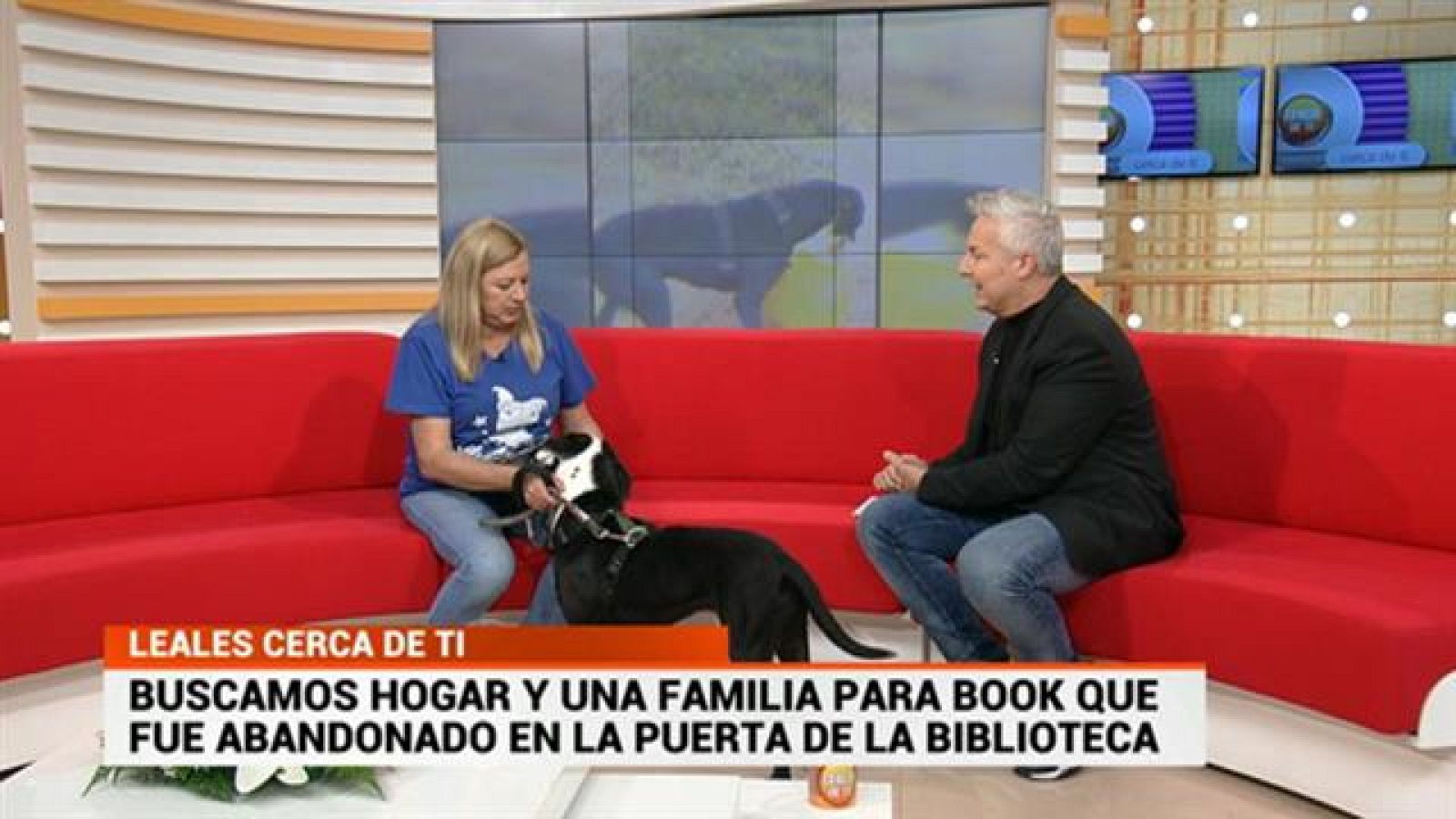 Cerca de ti - 25/03/2019