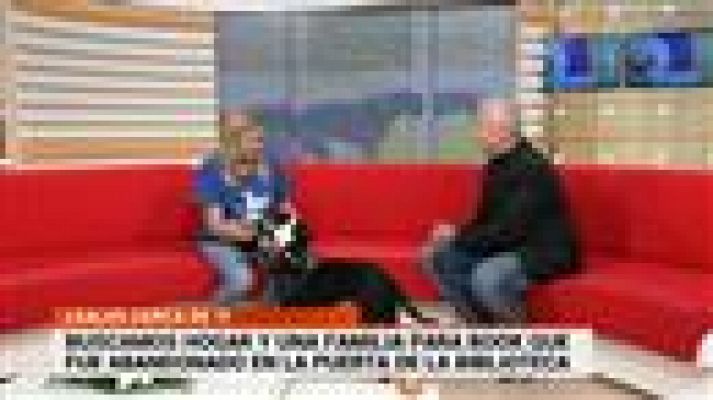 Cerca de ti - Cerca de ti - 25/03/2019