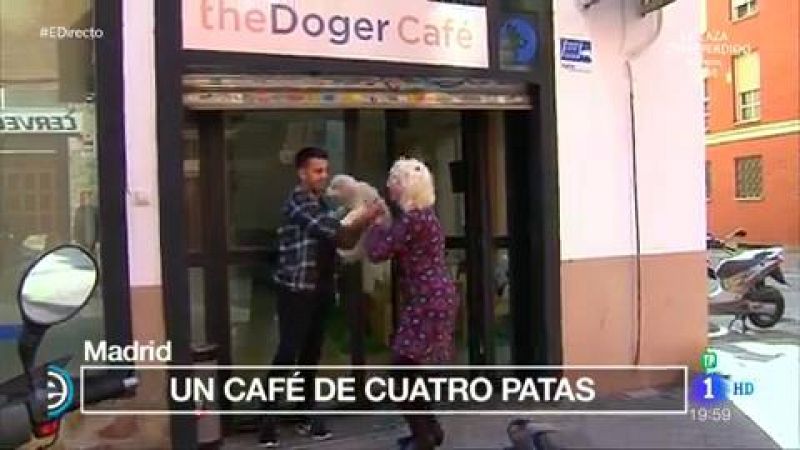España Directo - Primera cafetería donde se puede adoptar un perro 