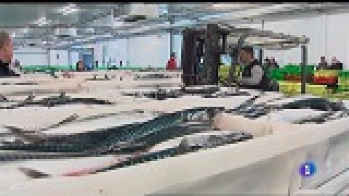 Panorama Regional - Panorama Regional - 26/03/19