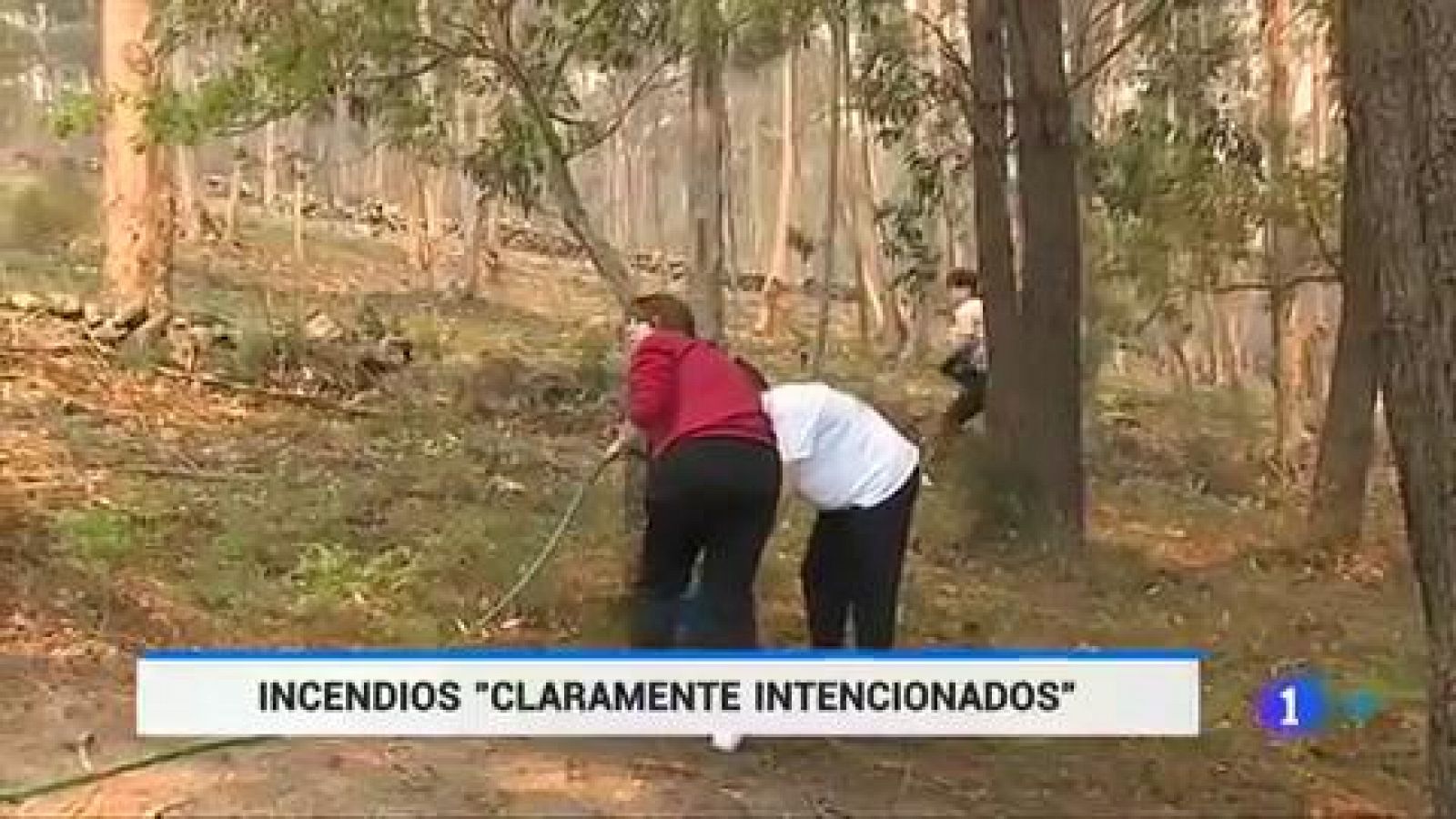 Telediario 1: Aumentan a 750 las hectáreas quemadas  por el incendio forestal de Dodro y Rianxo | RTVE Play