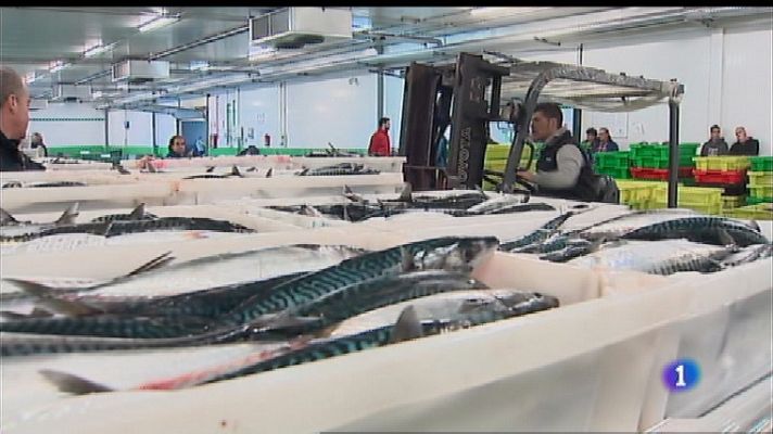 Panorama Regional - Panorama Regional 2 - 26/03/19