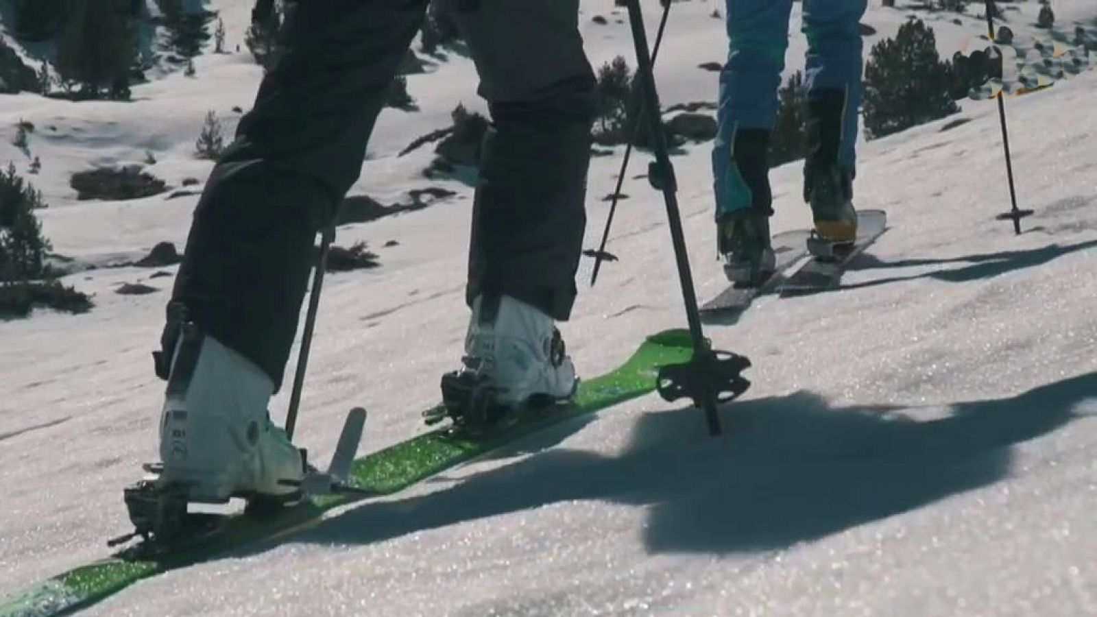 Evasión - T7 - Programa 5 - ver ahora