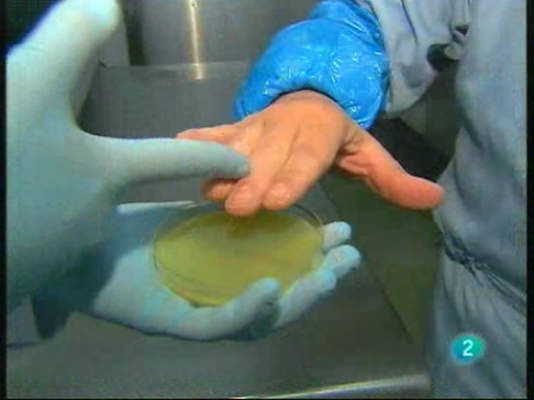 L'Informatiu - Homologacio dels productes