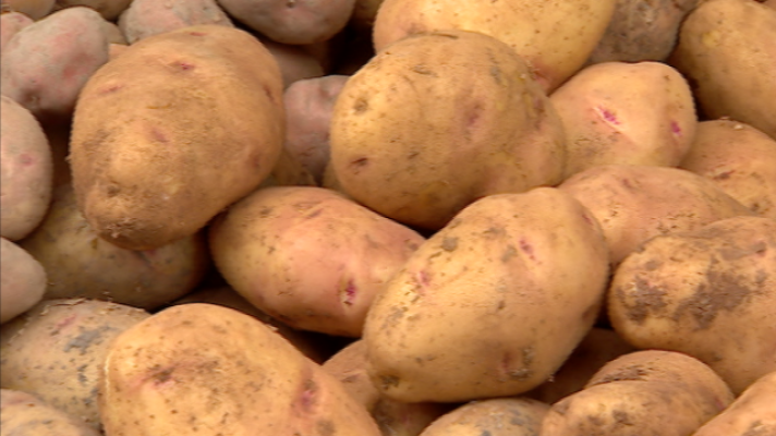 Telecanarias - Telecanarias 2 - 26/03/2019