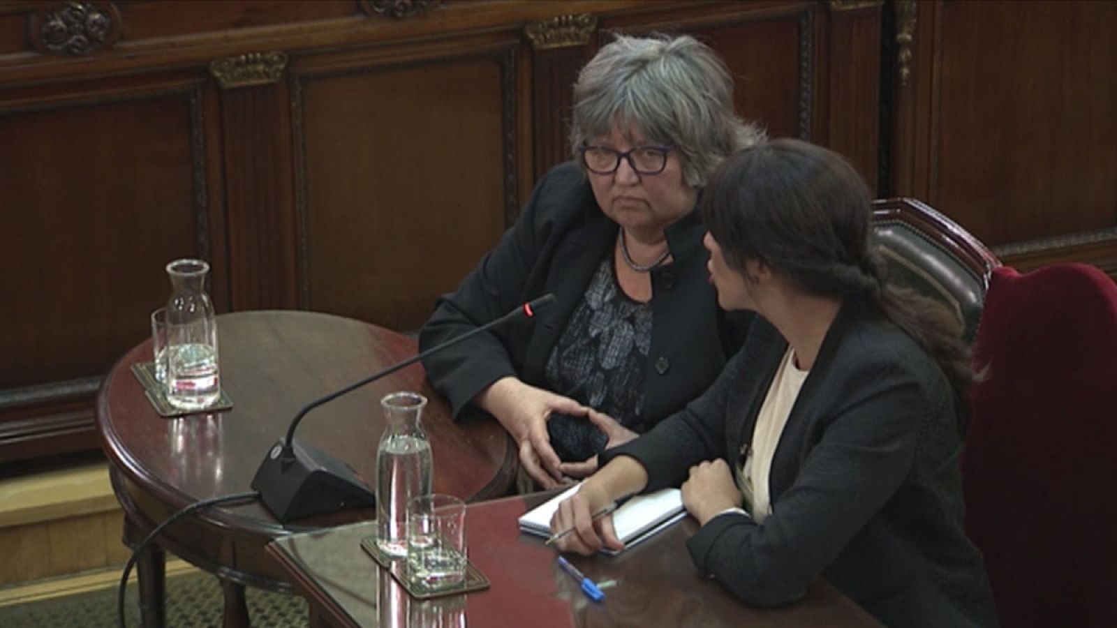 La directora de los expertos internacionales declara que les pagó Diplocat