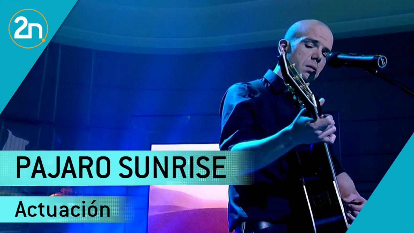 Pajaro Sunrise canta `Drive On¿