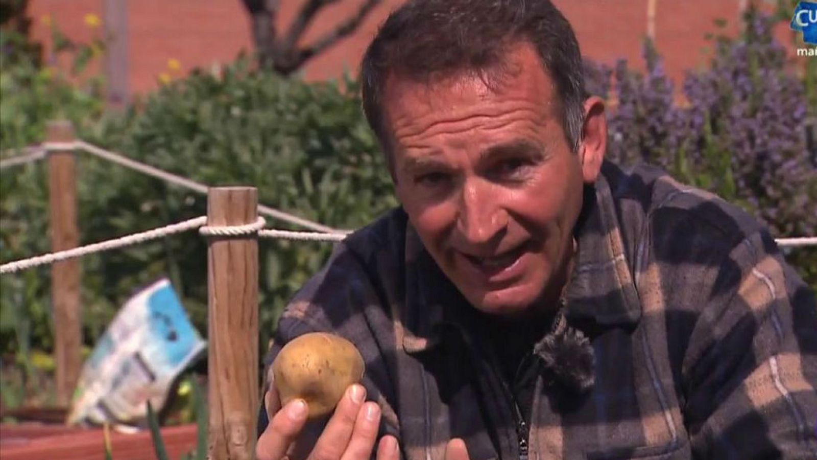 Es el momento de sembrar patatas