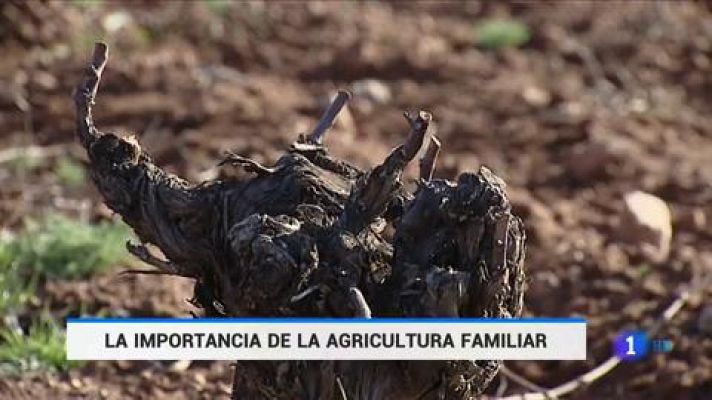 Telediario 1 - La agricultura familiar lucha por adaptarse a los nuevos desafíos