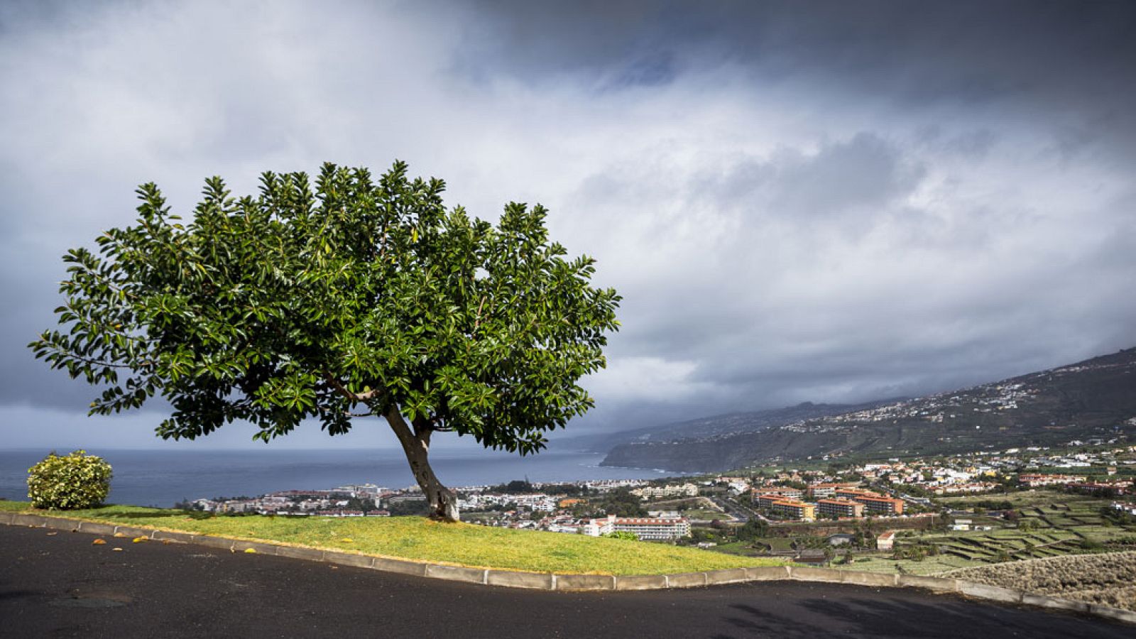 Viento fuerte en el Estrecho y lluvias localmente fuertes en Canarias - Ver ahora