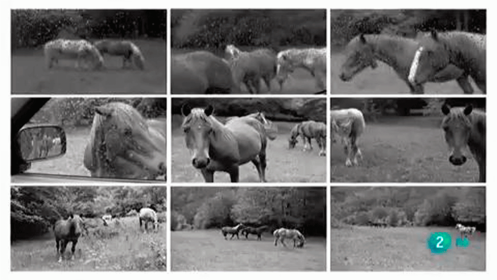 la aventura del saber.Boek visual:Jordi Calafell.