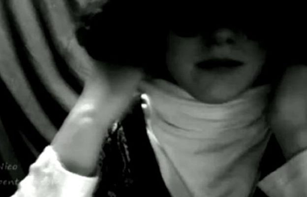 "Me the Bug and the Van"