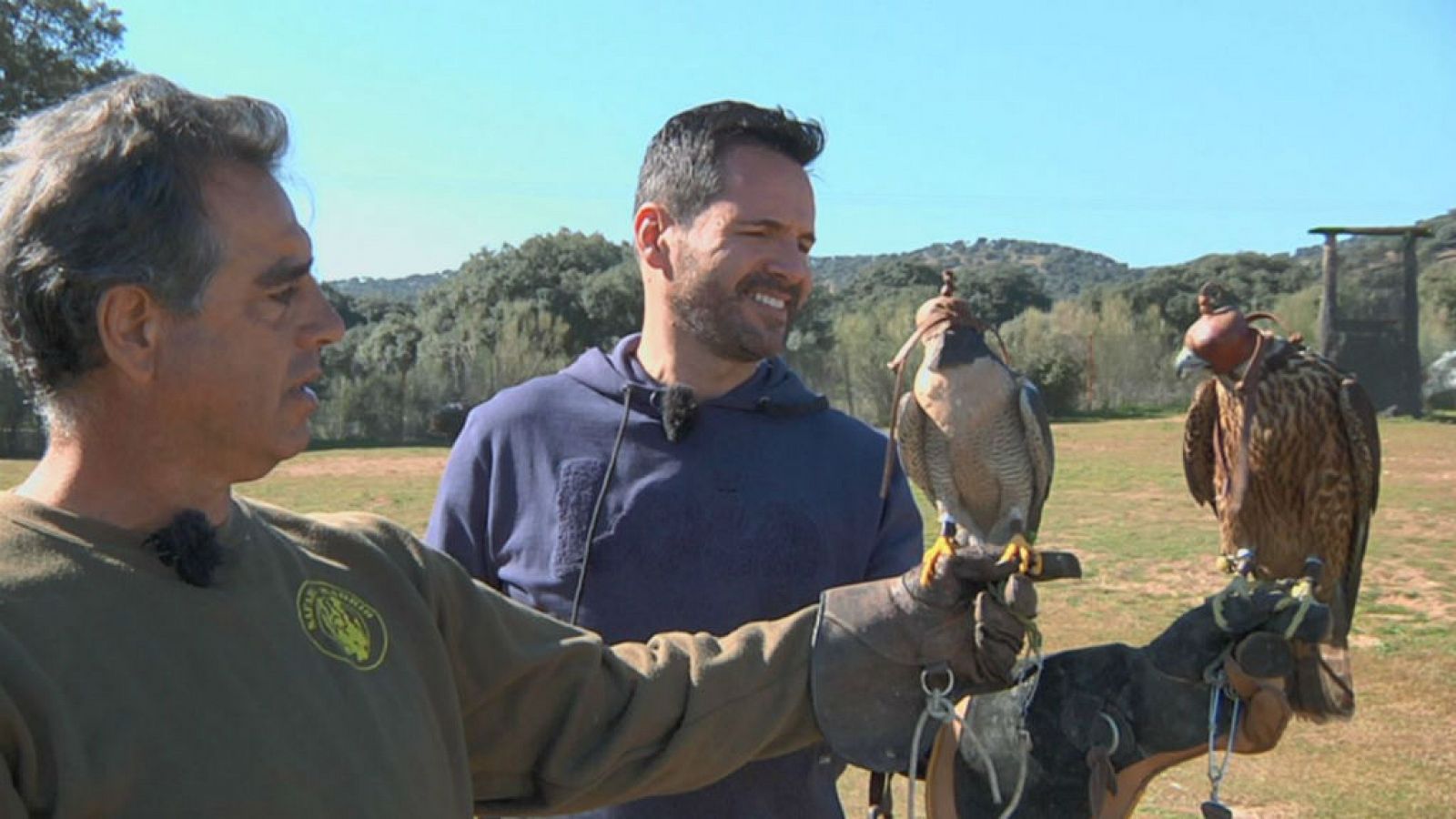 Lo que no sabías sobre las rapaces 