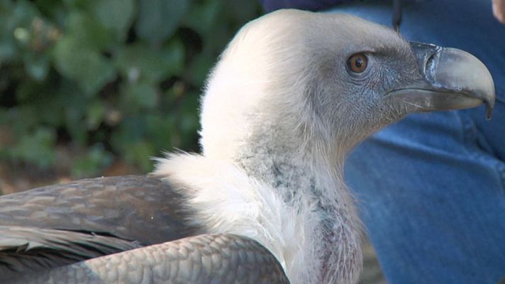 Aquí la Tierra - Aquí la Tierra - 29/03/19