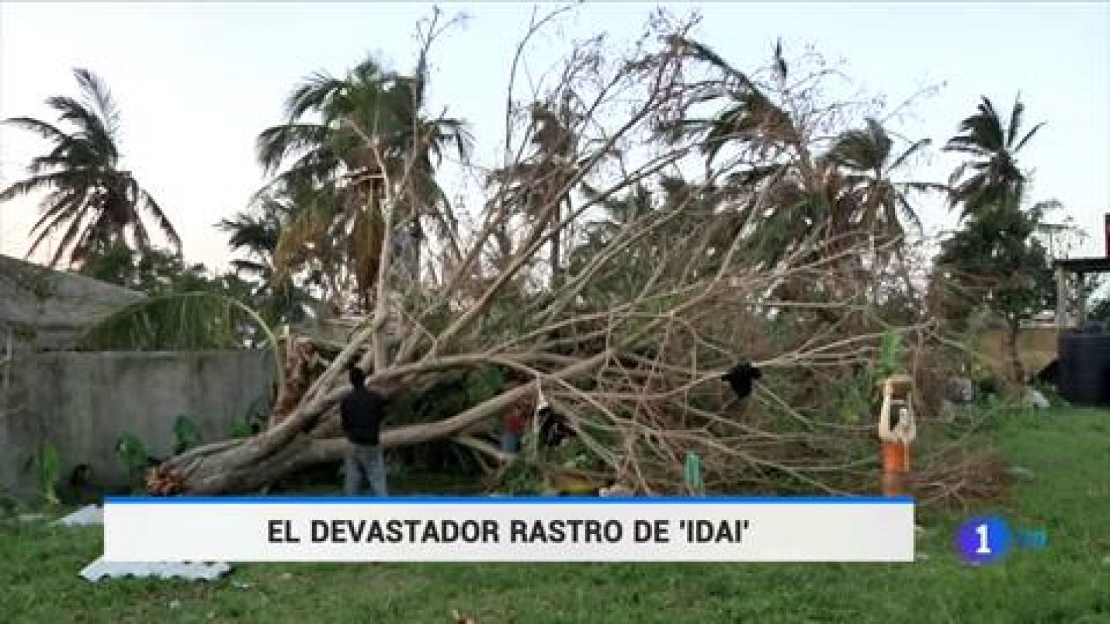 Telediario 1: Unicef estima en un millón los menores afectados por el ciclón Idai en Mozambique | RTVE Play