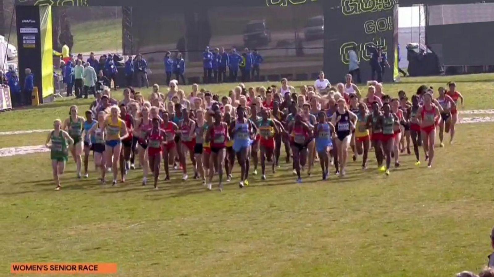 Atletismo Cross - Campeonato del Mundo. Carrera Senior Femenina, desde Aarhus (Dinamarca) - ver ahora
