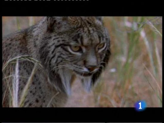 Ciencia y tecnología en Rtve.es - Día de la biodiversidad
