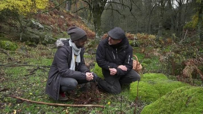 El señor de los bosques - Valle de Iruelas