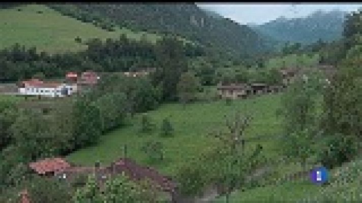 Panorama Regional - Panorama Regional 2 - 01/04/19