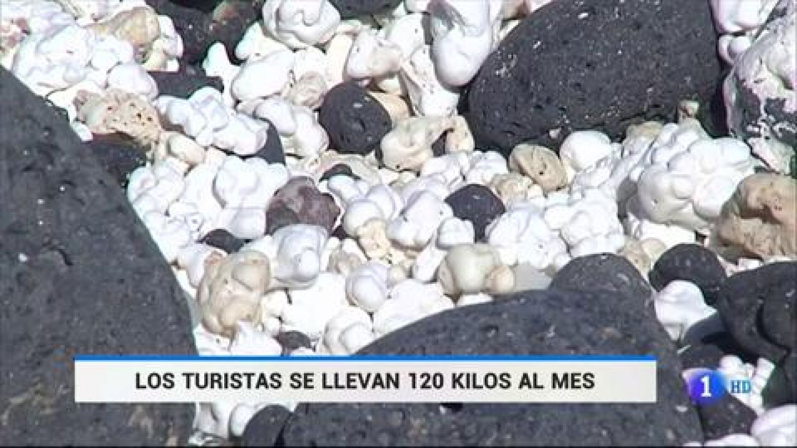 Telediario 1: La "playa de las palomitas" de Fuerteventura, en peligro | RTVE Play