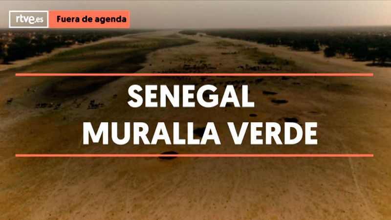 �Conoces la gran Muralla Verde de Senegal?