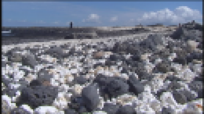 Telecanarias - Telecanarias 2 - 02/04/2019