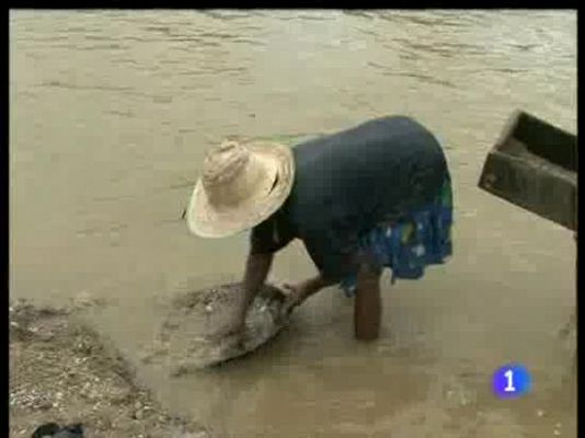 El oro arrasa ecosistemas