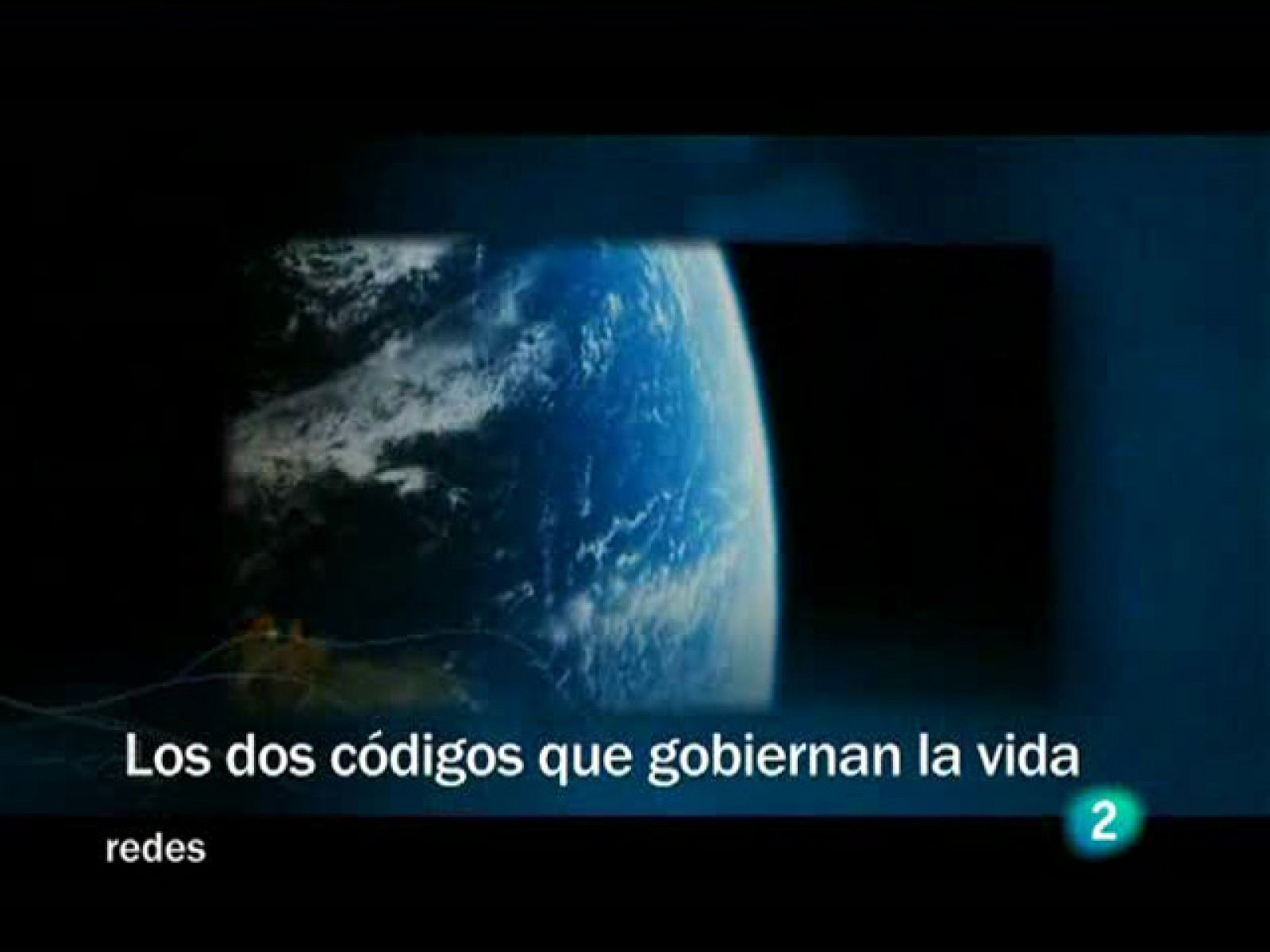 Redes (24/05/09) :  "Los dos códigos que gobiernan la vida"