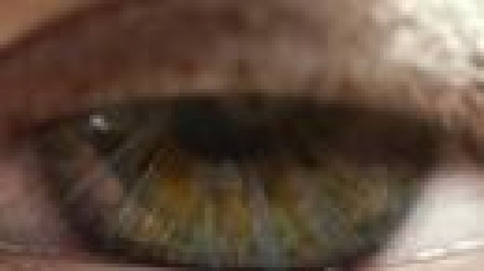 Cantabria en 2' - 04/04/19