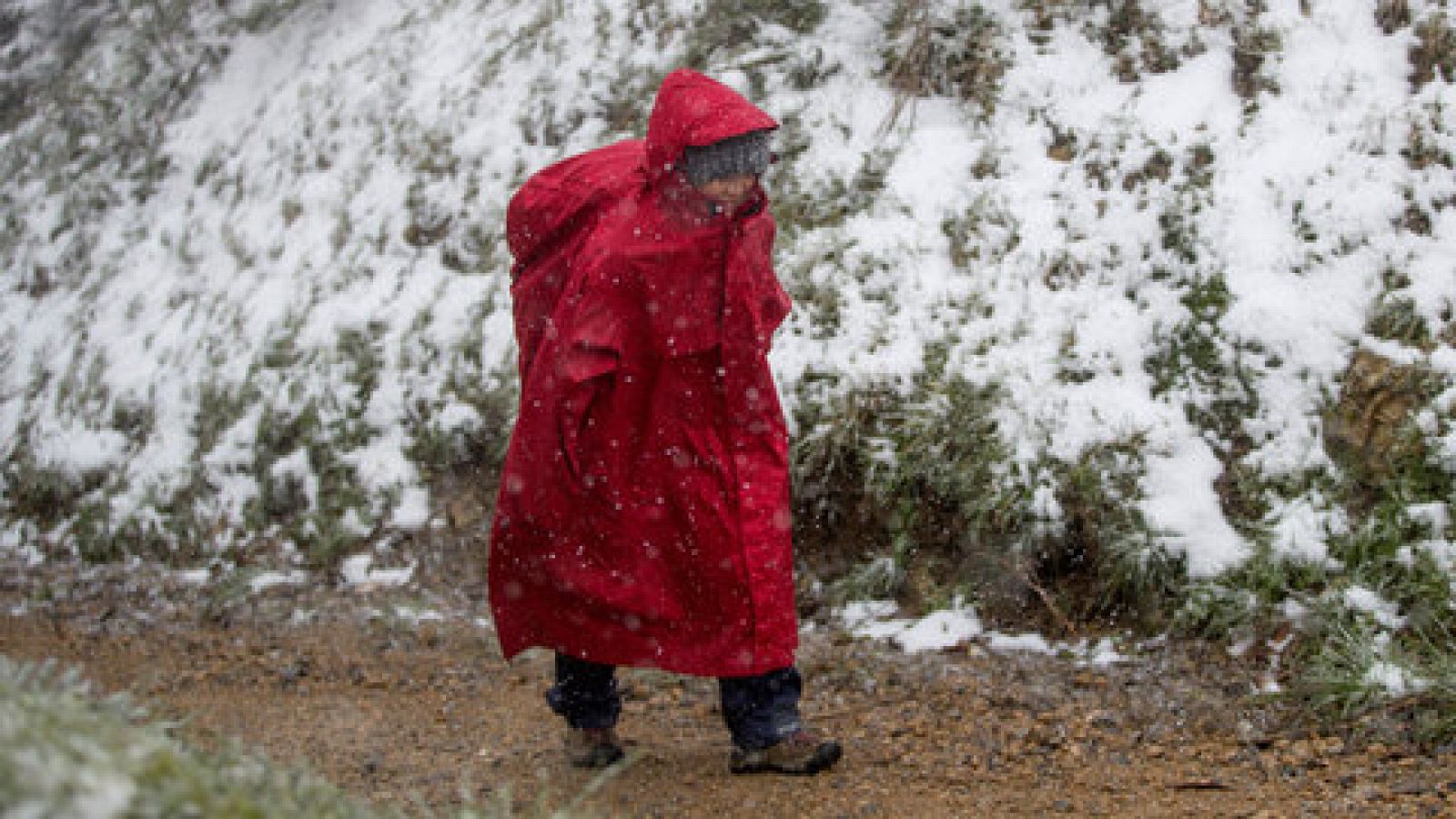 El tiempo: Riesgo amarillo por  frío, viento y nieve | RTVE Play