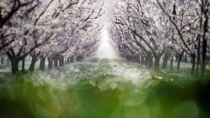 Nevadas en zonas altas de la península y lluvias en Andalucía y Galicia