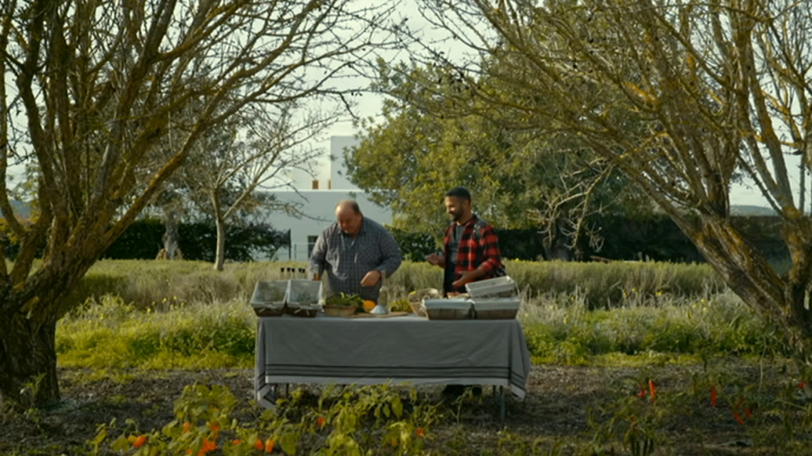 Las rutas d'Ambrosio - Ibiza y Formentera - ver ahora