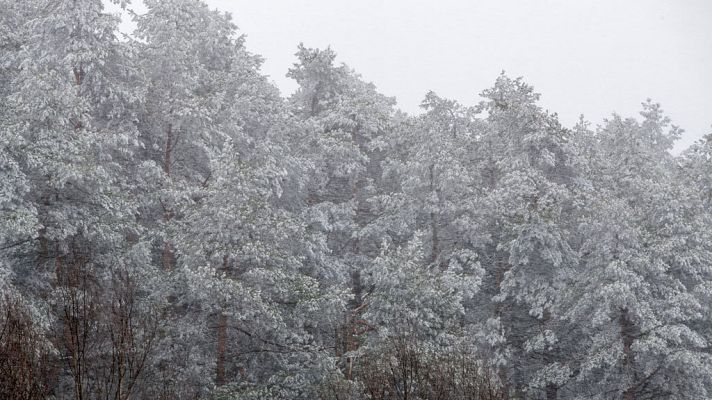 El tiempo - Una veintena de provincias está en alerta amarilla por nevadas
