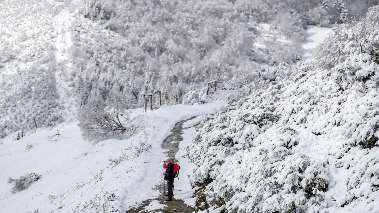 Telediario 1: La nieve complica la circulación en las carreteras del norte de España | RTVE Play