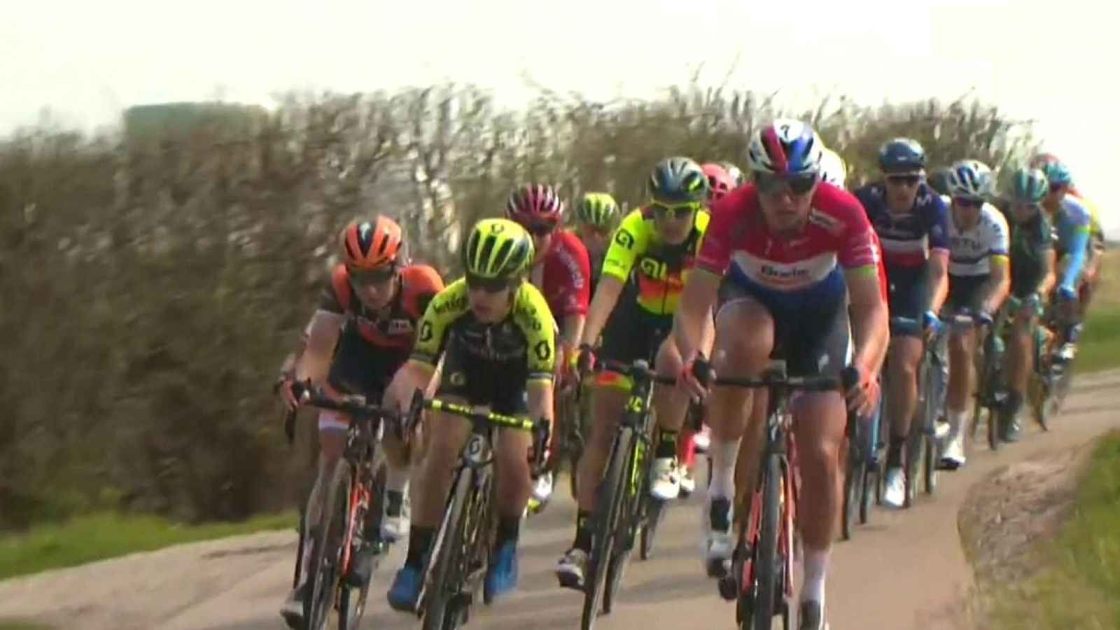 Ciclismo: Tour de Flandes 2019 Carrera Femenina desde Bélgica | RTVE Play