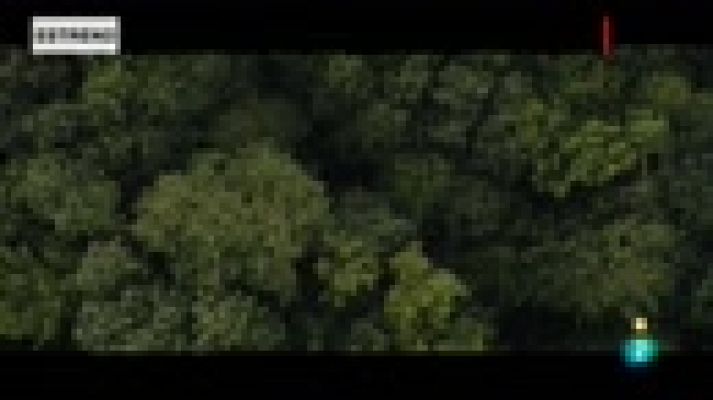 Días de cine - 'Cementerio de animales'