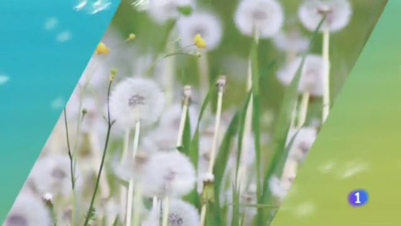 El tiempo en Castilla-La Mancha - 08/04/19 | Ver