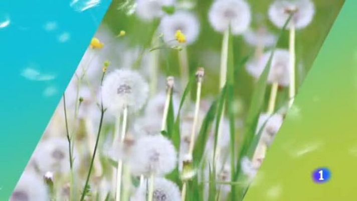 TeleCantabria - El tiempo en Cantabria - 08/04/19