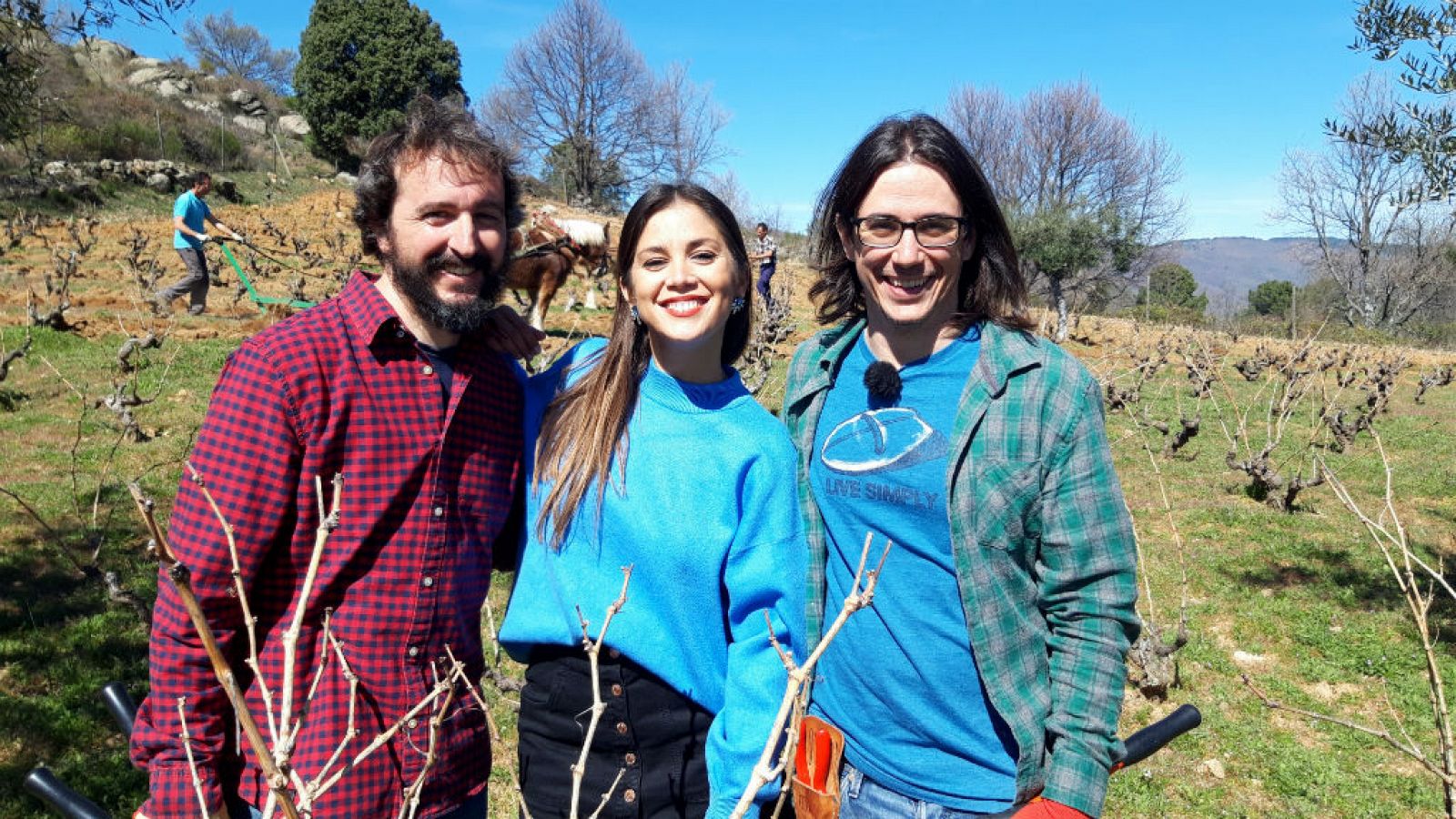 Un vino ecológico y "embrujado"