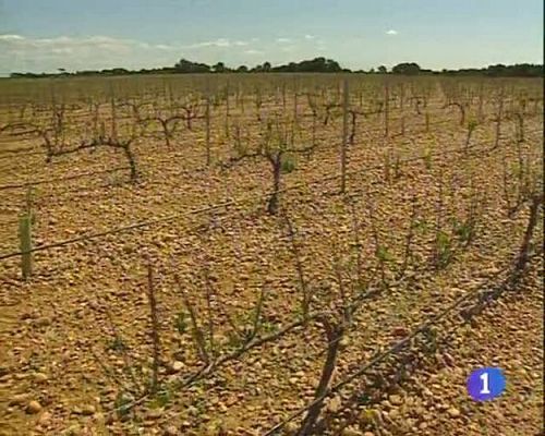 Noticias de Castilla-La Mancha - 26/05/09