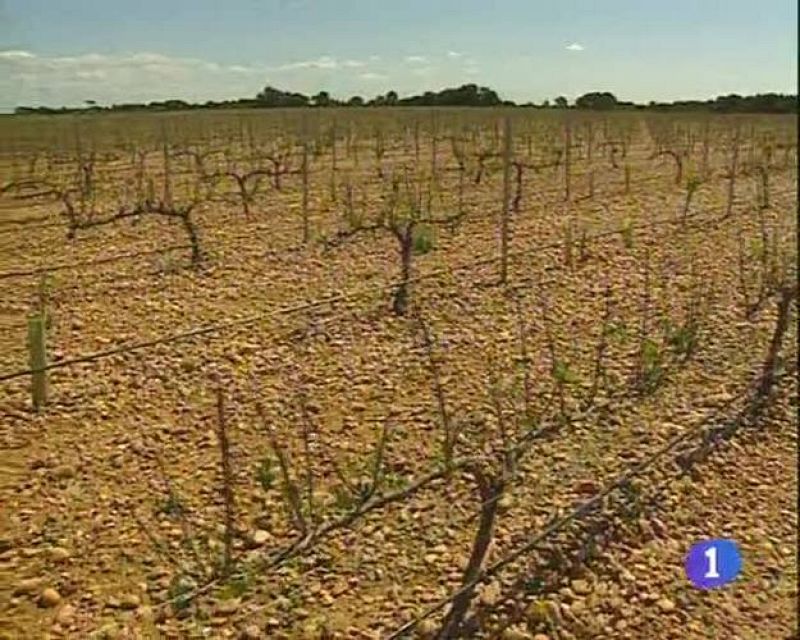  Noticias de Castilla-La Mancha. Informativo de Castilla-La Mancha.(26/05/09).