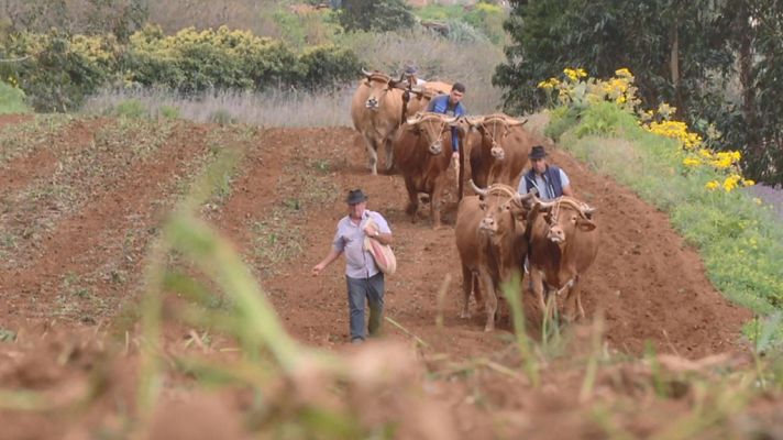 Aquí la Tierra - 09/04/19            