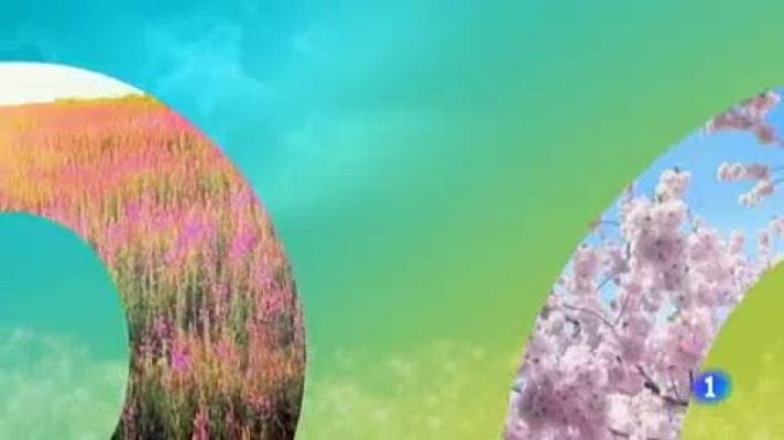 Telenorte - País Vasco - El tiempo en el País Vasco - 10/04/19