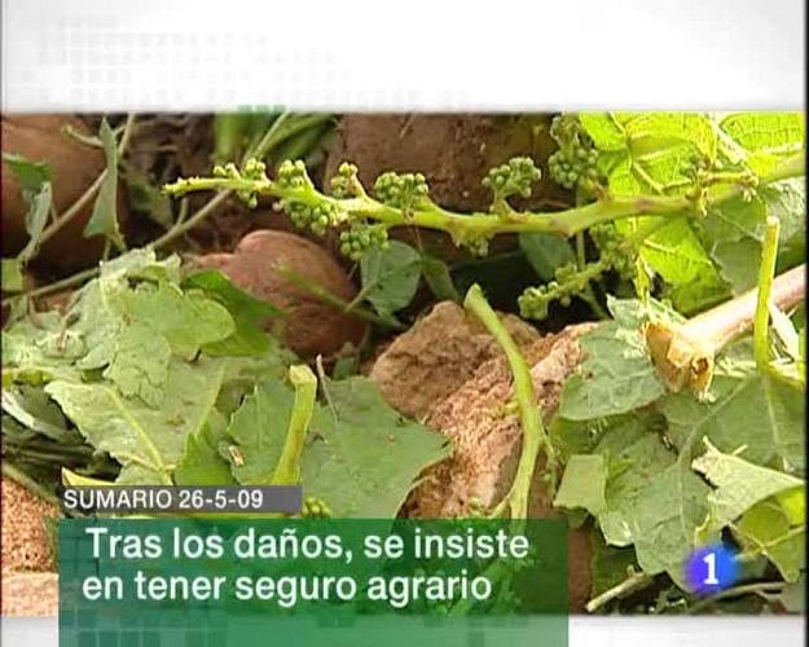  Informativo Telerioja (26/05/2009)