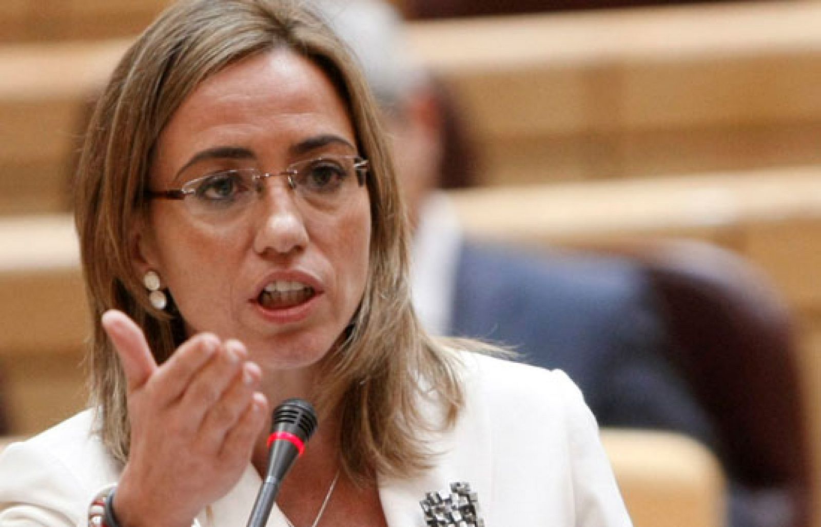 La ministra de Defensa, Carme Chacón, ha contestado en el Senado sobre la Gripe A. Los populares han criticado al Ministerio por cómo se ha llevado el caso de la academia de Hoyo de Manzanares. Chacón ha respondido que el Partido Popular comete una grave imprudencia al propagar de esta manera un asunto de salud pública y ha reiterado que el Ministerio ha cumplido con todos los protocolos.