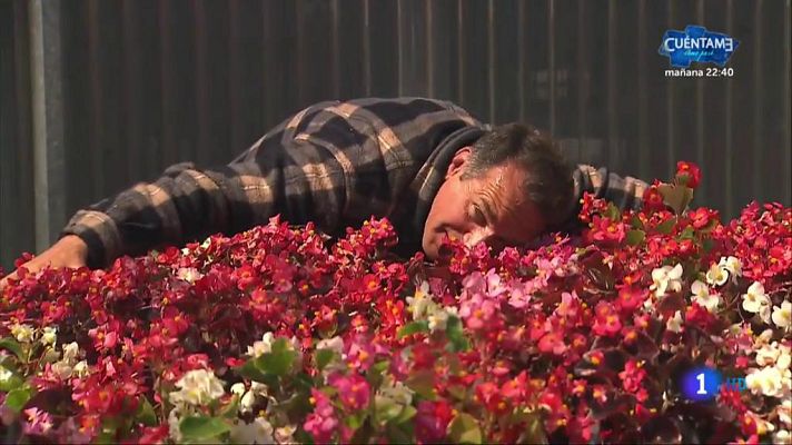 Aquí la Tierra - Germinados en casa