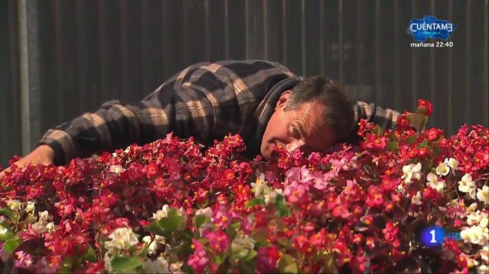 Aquí la Tierra - Germinados en casa